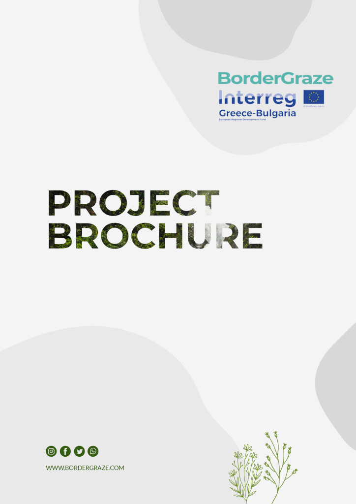 BorderGraze project brochure